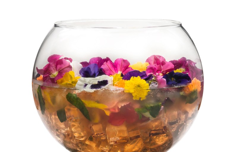Happy National Cognac Day: D’USSE Yes to Cognac Cocktails This Summer