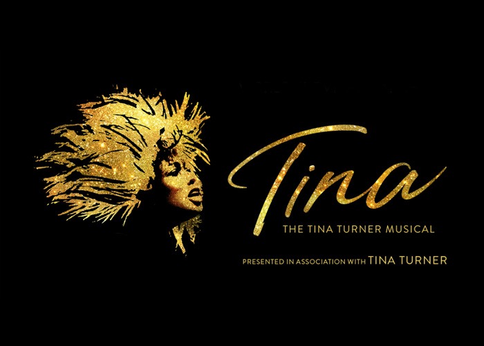 Tina Turner Musical Expected to Hit Broadway in 2019