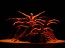 Uptown Ailey17
