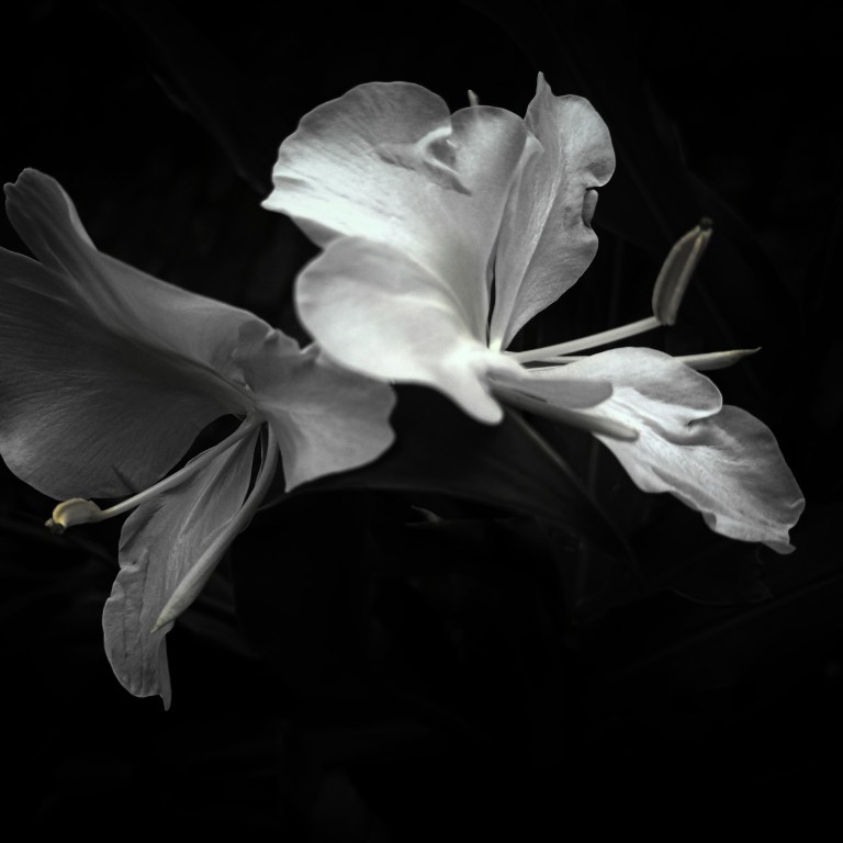 In Memoriam: The Notable Folks Our Community Lost in 2022