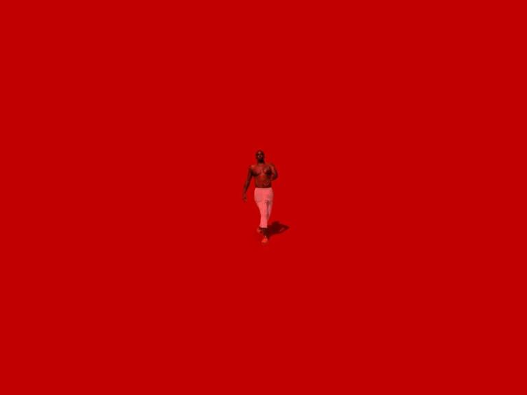 Diddy The Love Album