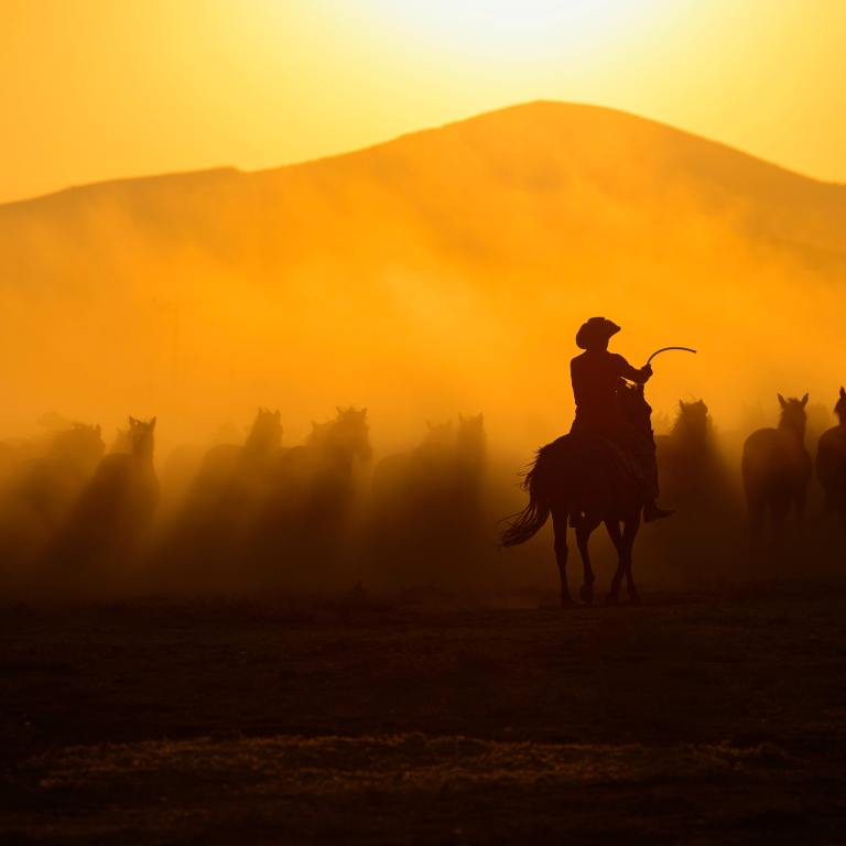 Meet the Black rodeo recipients of The Hats Off Grant