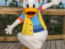 Disney Character Encounter Donald 2 1m
