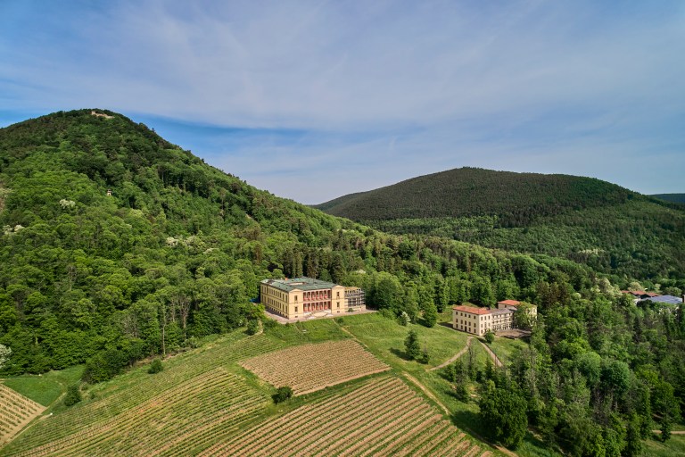 Germany’s Southern Wine Route: A journey through vineyards and villages