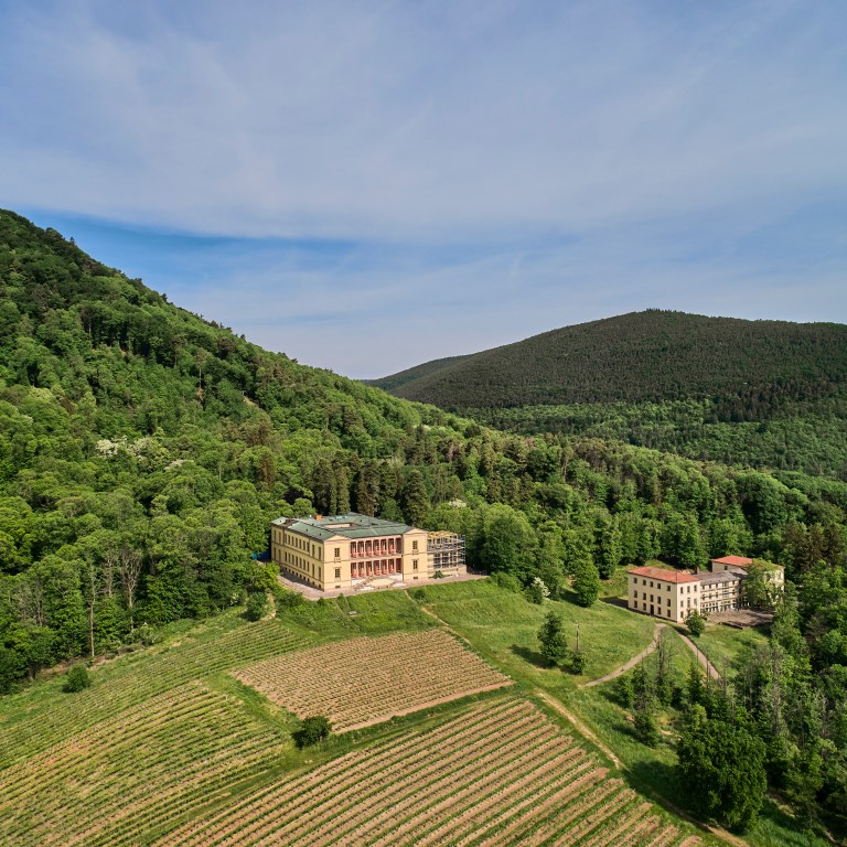 Germany’s Southern Wine Route: A journey through vineyards and villages