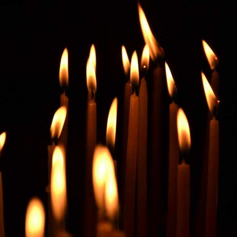 In Memoriam 2024