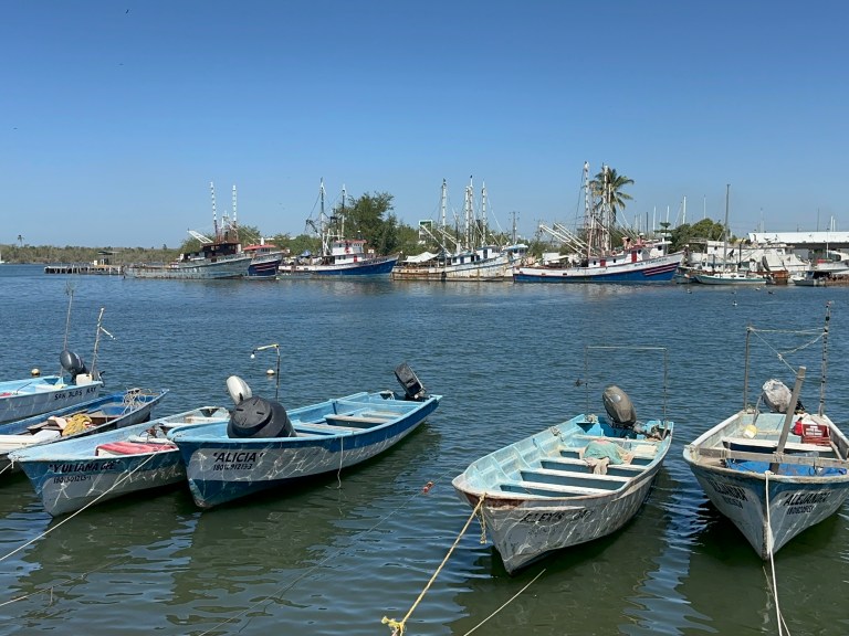 San Blas In Riviera Nayarit