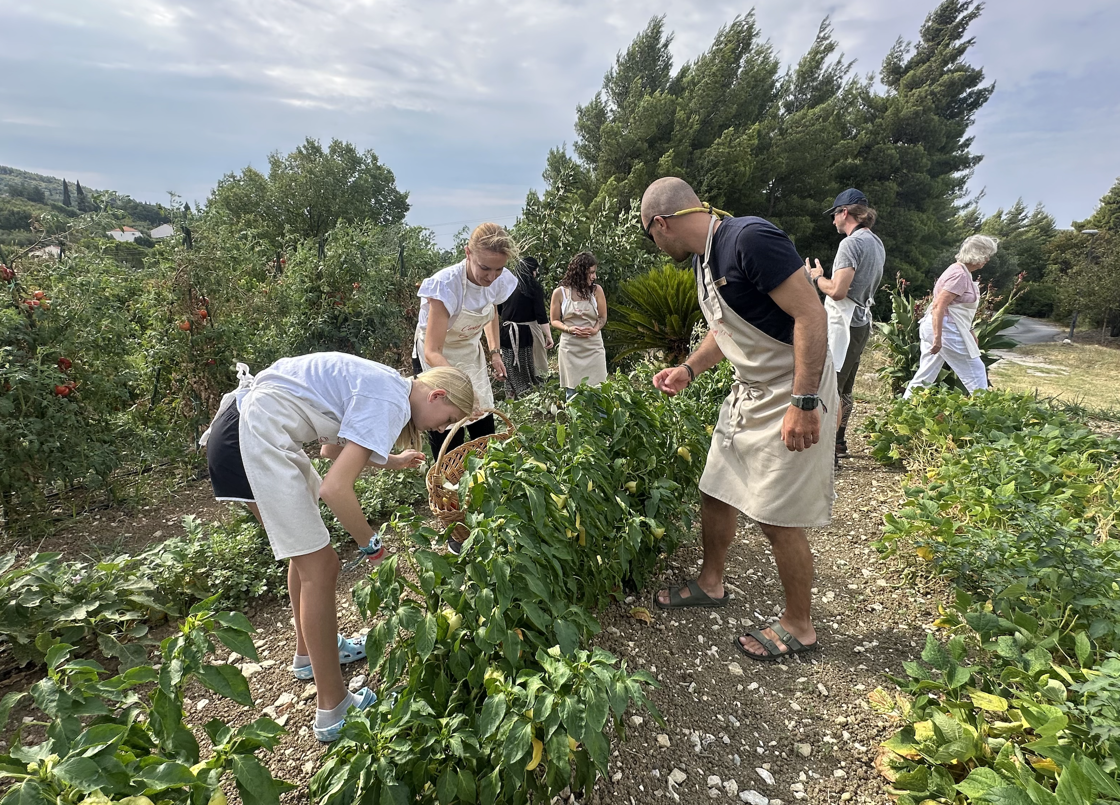 UPTOWN Miloslavic Farm Dubrovnik