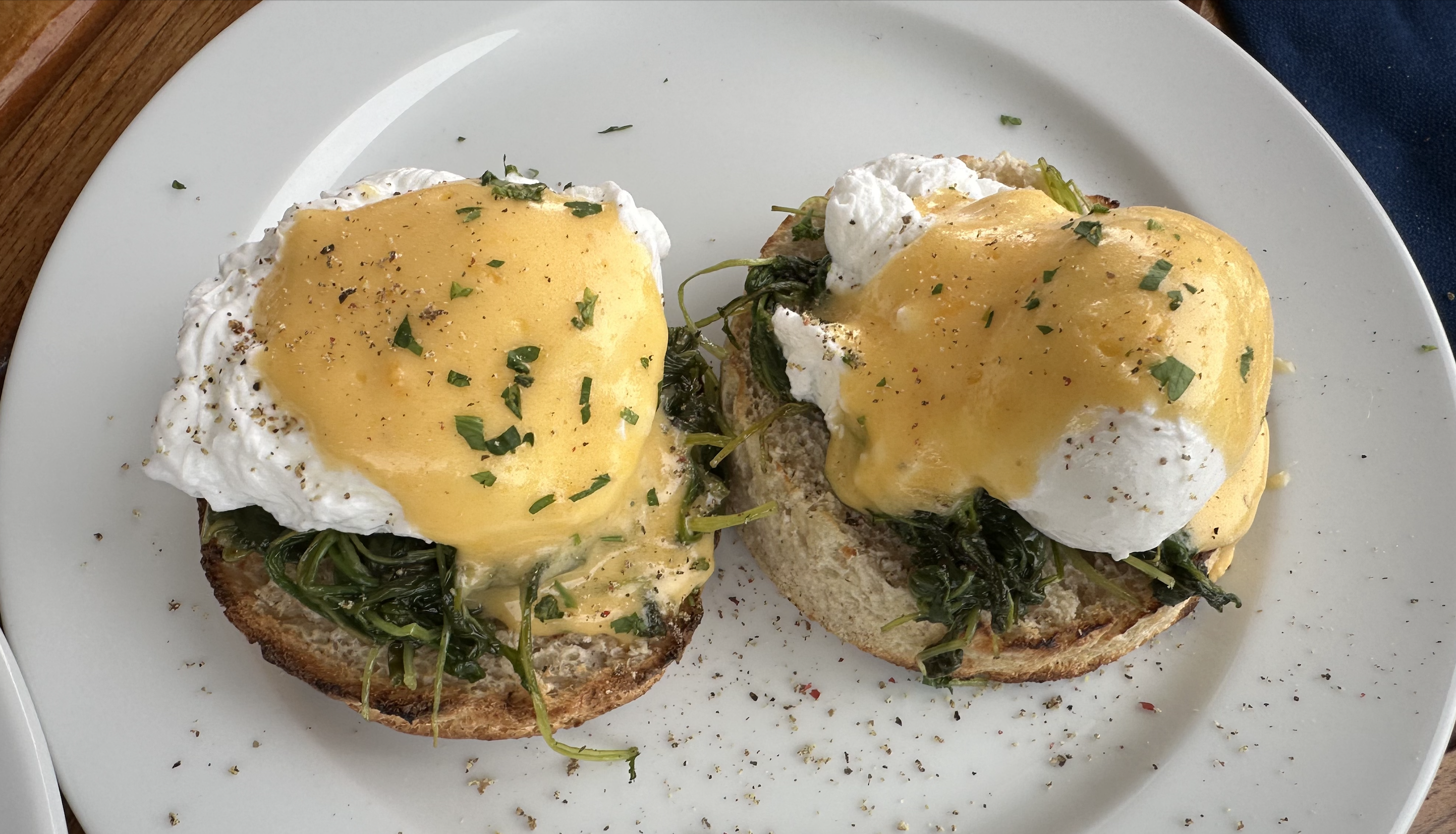 UPTOWN Nat Geo Orion Cuisine