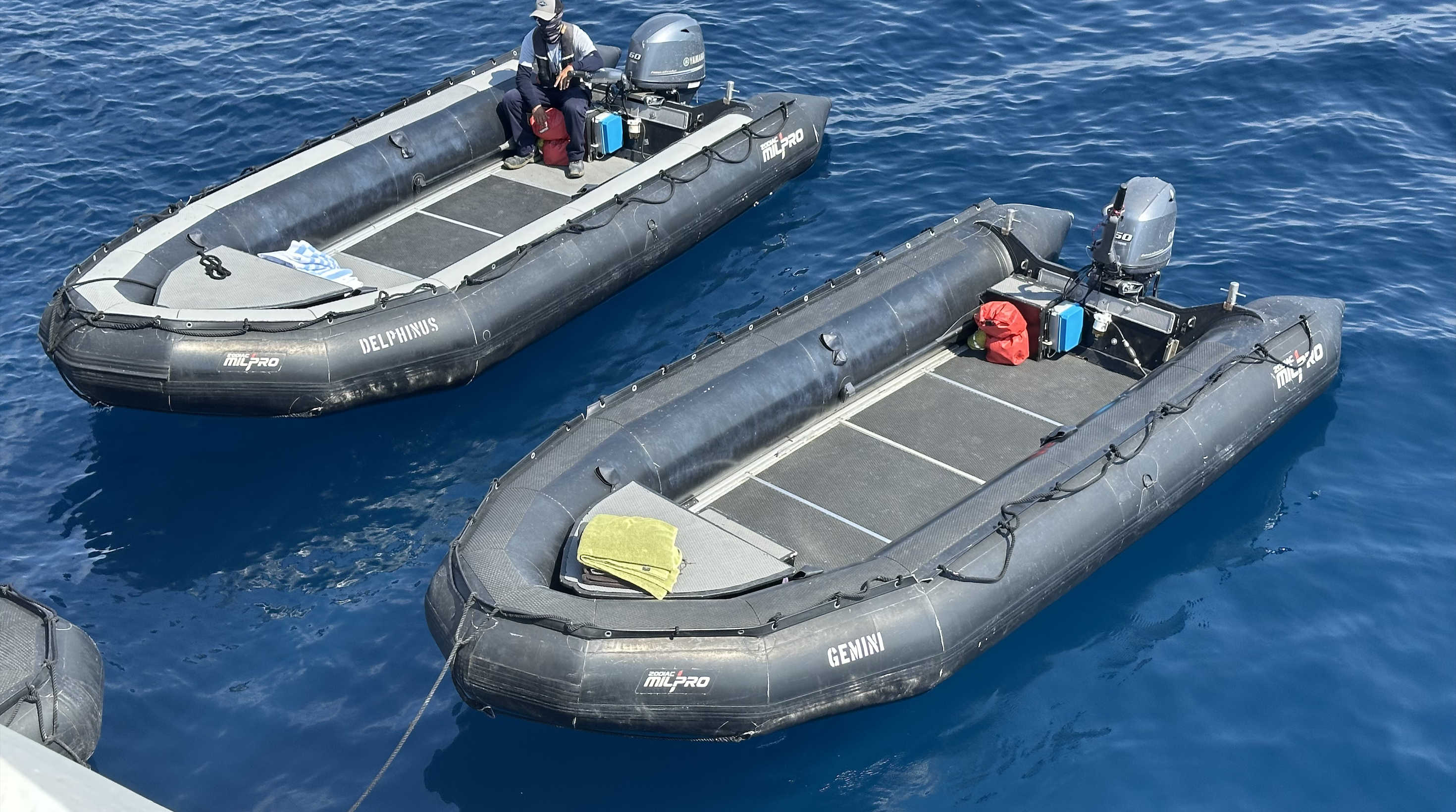 UPTOWN National Geographic Orion4